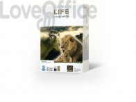 Carta per fotocopie Riciclata A4 Primus Life 80 g/m² (5 risme da 500 fogli)