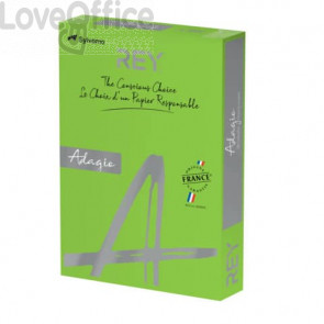 Cartoncini colorati A4 Verde intenso INTERNATIONAL PAPER Rey Adagio 160 g/m² (risma 250 fogli)