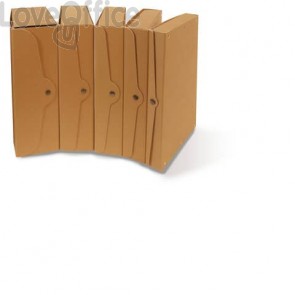 Scatole progetti in cartone Euro-Cart Avana - Dorso 10 cm - 35x25 cm (conf.5)