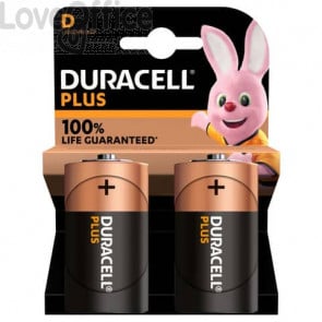 Batterie alcaline Duracell Plus100 Torcia D MN1300 mAh - blister da 2 - DU0401