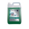 Lysoform Professionale disinfettante - floreale - 5 litri - 7517414