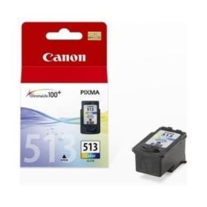 Cartuccia Canon Originale 2971B001 Cartuccia Ink-jet alta resa Chromalife 100+ CL-513 colore-0