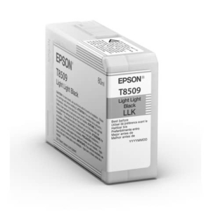 Cartuccia Ink-jet Epson Nero chiaro C13T850900-0