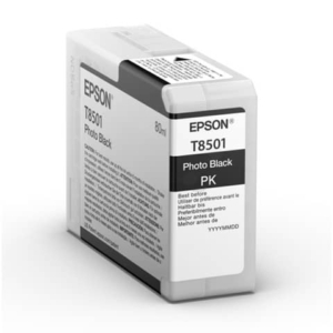 Cartuccia Ink-jet Epson Nero fotografico C13T850100-0