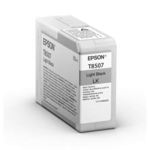 Cartuccia Ink-jet Epson Nero chiaro C13T850700-0