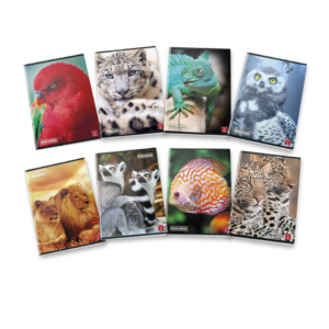 Animal World Pigna Quaderni a righe 1R A4 - 42 fogli - Assortito (conf.10)-0
