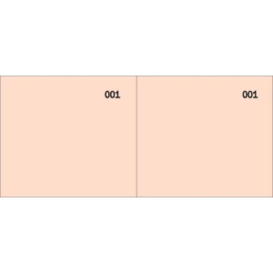 Scontrino colorato a 2 sezioni Data Ufficio blocco 100 copie prenumerate Rosso - DU160000020 (conf.10)-0