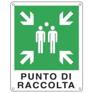 Cartello d'emergenza 25x31 cm Cartelli Segnalatori "Punto di raccolta'' E20153X-0
