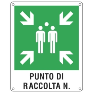 Cartello d'emergenza 40x50 cm Cartelli Segnalatori "Punto di raccolta'' E20171Y-0