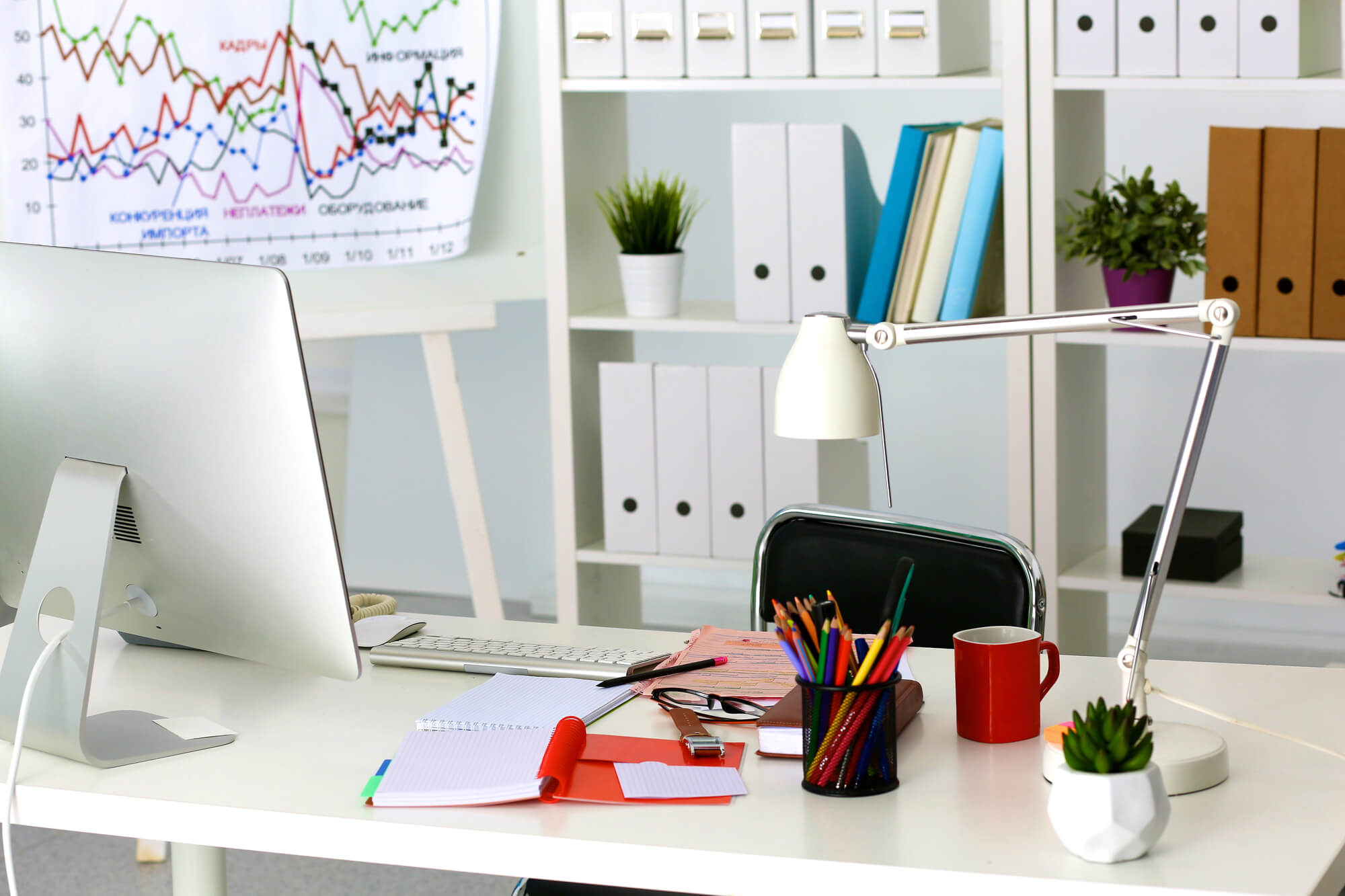 Portadocumenti: meglio di plastica o cartone - Loveoffice