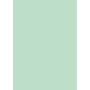 Cartellina semplice Brefiocart Color 24