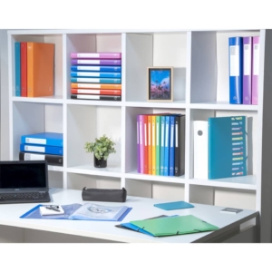 Portalistini Exacompta LINEA OPACO 8 Colori Assortiti ppl A4 30 buste 8530E