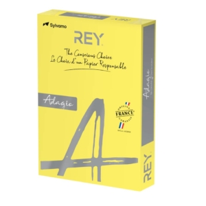 Cartoncini colorati A4 Giallo intenso INTERNATIONAL PAPER Rey Adagio 160g/m² (risma 250 fogli)