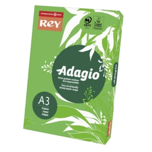Cartoncini colorati A3 Verde intenso INTERNATIONAL PAPER Rey Adagio - 160g/m² - 29,7x42 cm (risma 250 fogli)
