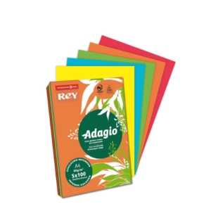 Carta colorata assortita A4 INTERNATIONAL PAPER Rey Adagio colori forti 80g/m² (risma 500 fogli)