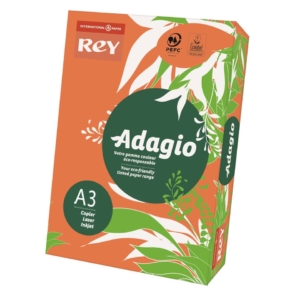 Cartoncini colorati A3 Arancio INTERNATIONAL PAPER Rey Adagio - 160g/m² - 29,7x42 cm (risma 250 fogli)