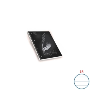 Blocchi spiralati A4 Pigna Mont Blanc Soft Touch Colore Assortito - a righe 1R - 100 fogli - 02306881R (conf.5)