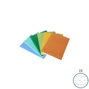 Quaderni Pigna Maxi Monocromo Green - 42 fogli 80g/m² A4 a righe 1R - copertine in colori assortiti (conf.10)