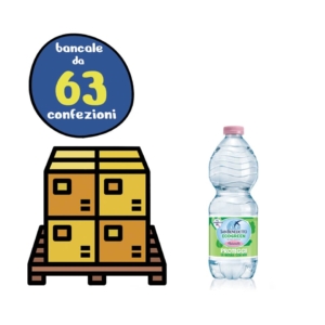 Bancale 63 confezioni da 24 bottigliette Ecogreen da 500 ml di Acqua Minerale Naturale San Benedetto