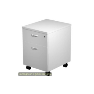 Cassettiera 1 cassetto+ 1 classificatore 41,8x52xh.59,5 cm con ruote montata Presto Artexport Grigio - 60020/9