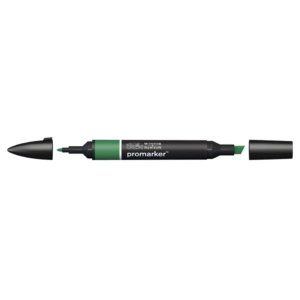Pennarelli Winsor&Newton Promarker doppia punta fine-larga - verde pino G635 - 0203244