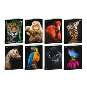 Maxi quaderni Blasetti Animali formato A4 carta 100g/m² - 18+1 fogli - quadretti 4 mm con margine (4F) - 8629 (conf.10)