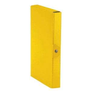 Cartella portaprogetti Esselte C84 DELSO ORDER dorso 4 cm presspan lucido giallo 25x35 cm - 390384090