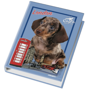 Raccoglitore ad anelli Blasetti - 4 anelli Ø 30 - 26x32 cm per fogli A4 - fantasie assortite Cuccioli - 4170