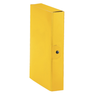 Cartella portaprogetti Esselte C86 DELSO ORDER dorso 6 cm presspan lucido giallo 25x35 cm - 390386090