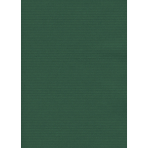 Carta regalo in fogli Rex-Sadoch formato 140x100 cm - Verde - 190BIS -16 (conf.10)