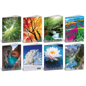 Maxi quaderno Blasetti Quadecò formato A4 carta 80g/m² a righe C con margine - 20 fogli - 4773 (conf.10)