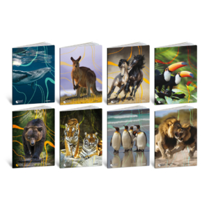 Maxi quaderni Blasetti Animali formato A4 carta 80g/m² - 20+1 fogli a righe B con margini - 8576 (conf.10)