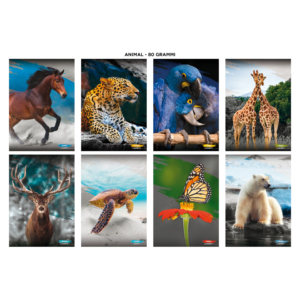 Maxi quaderni Blasetti Animali formato A4 carta 100g/m² - 18+1 fogli - quadretti 5mm - 8630 (conf.10)