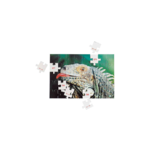 Mathpuzzle MOLTIPLICAZIONI e DIVISIONI entro il 1000 LFSC23457