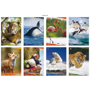 Maxi quaderni Blasetti Animali A4 18+1 fogli carta 100g/m² - quadretti 4 mm con margine (4F) - 8206 (conf.10)