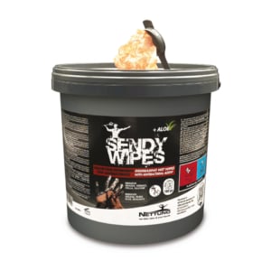 Salviettine umidificate extra forti senza risciacquo Nettuno Sendy Wipes - 26x27 cm - 813 (conf.100)