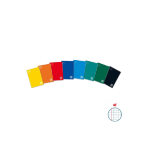 Blasetti quaderno a quadretti 4F - One Color 100 - Quaderni A4 - 36 fogli