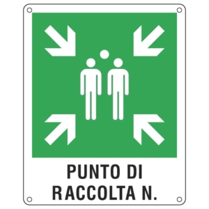 Cartello d'emergenza 40x50 cm Cartelli Segnalatori "Punto di raccolta'' E20171Y